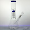 Diffused Downstem and 6-Arm Tree Perc, Double Chamber Bong