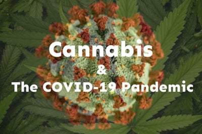 Cannabis & The COVID-19 Pandemic