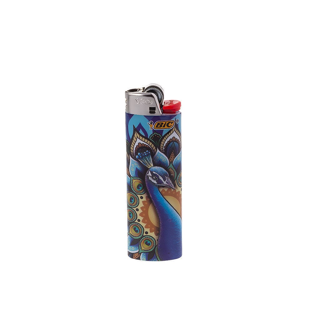 BIC – Cool Arcadian Lighters | Smoking Outlet