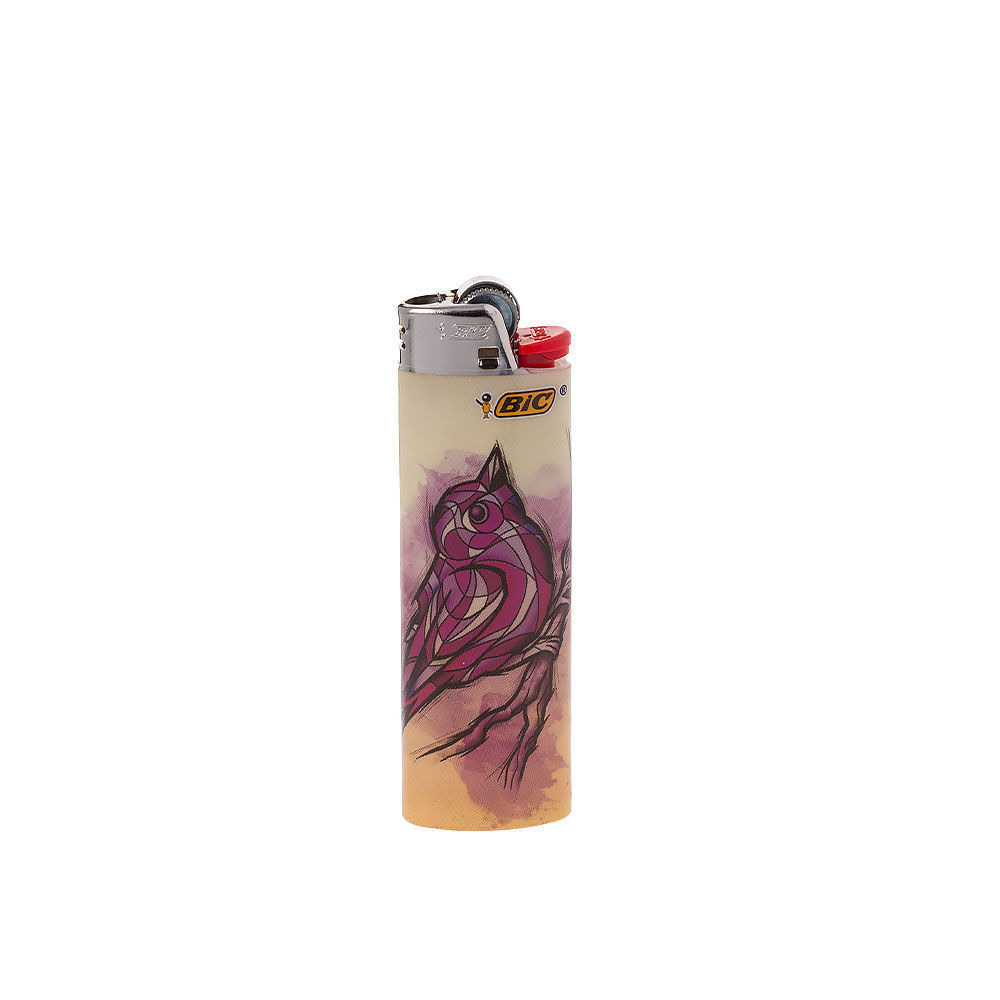 BIC Cool Arcadian Lighters Smoking Outlet