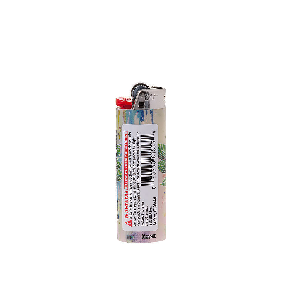 BIC Cool Arcadian Lighters Smoking Outlet