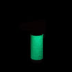 Eagle Torch – The Neon 4.25" Glowtorch