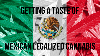 Getting a Taste of Mexican Legalized Cannabis