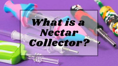 What is a Nectar Collector?