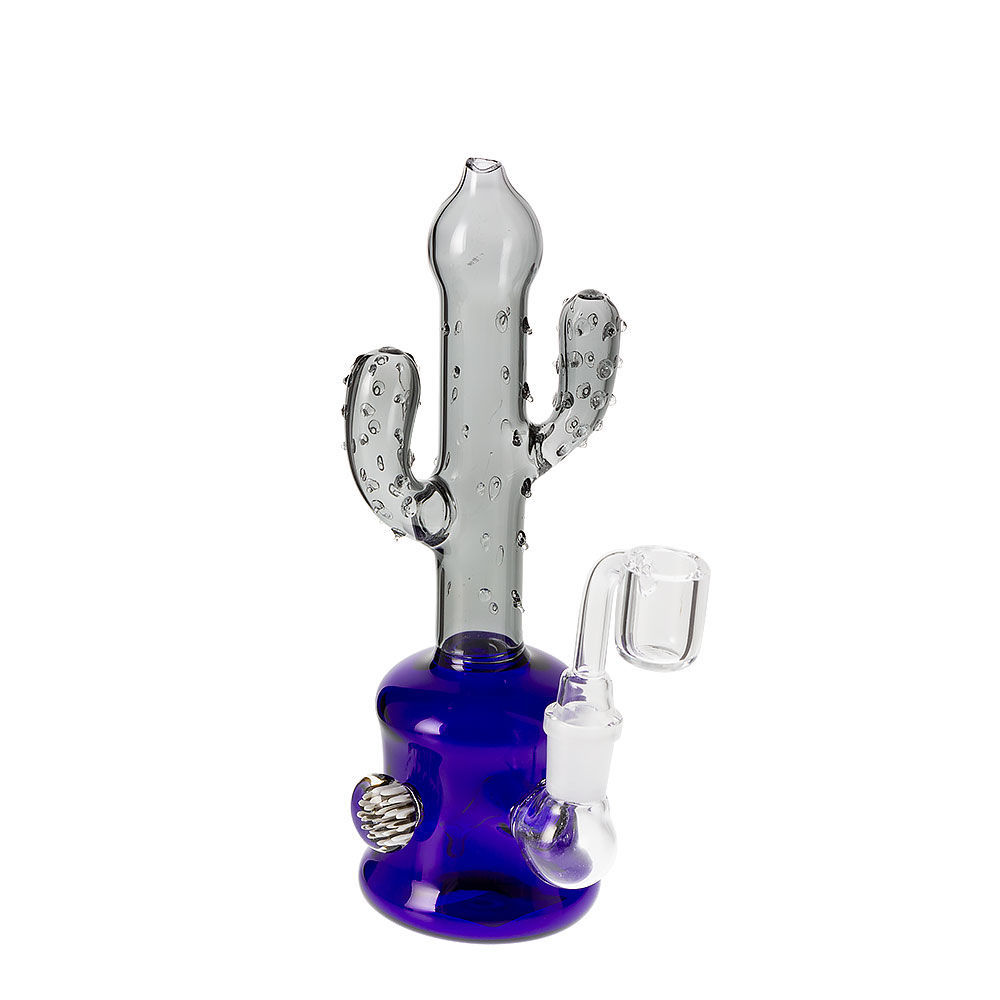The Cactus – 7.5