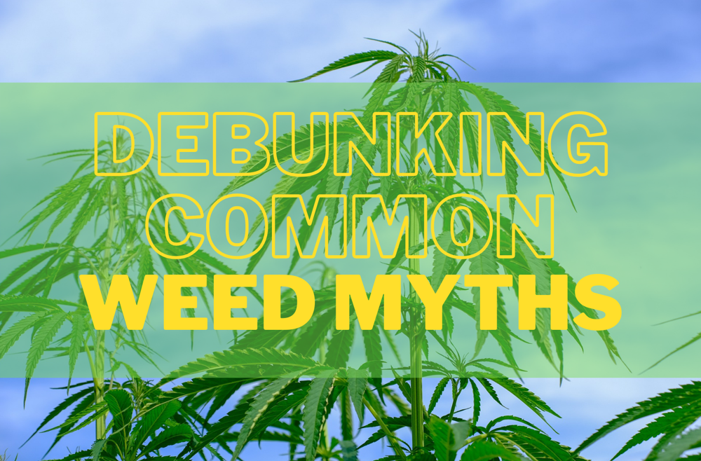 Debunking Weed Myths